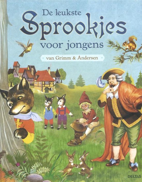 De leukste sprookjes voor jongens van Grimm en Andersen