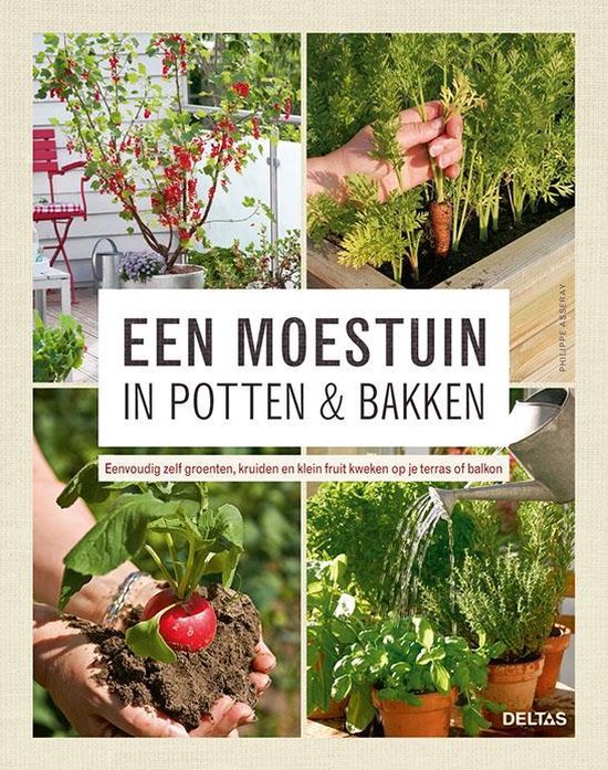 Een moestuin in potten en bakken