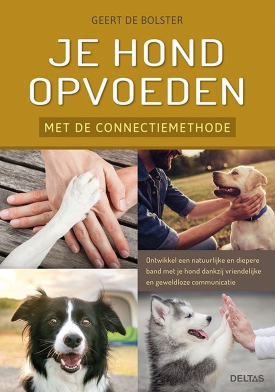 Je hond opvoeden met de connectiemethode