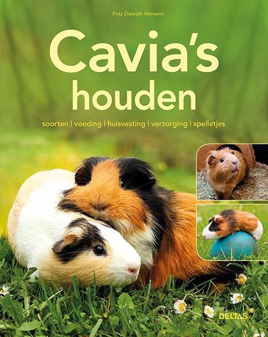 Cavia's houden