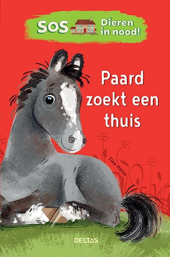 SOS Dieren in nood!  -   Paard zoekt een thuis