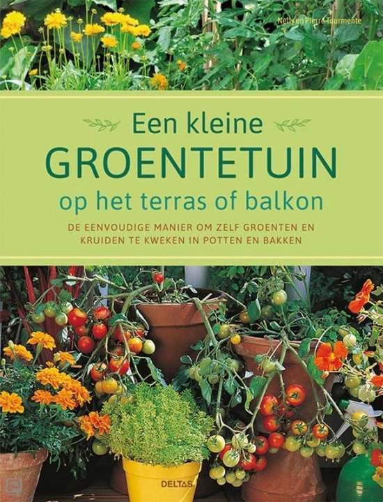 Een kleine groentetuin op het terras of balkon