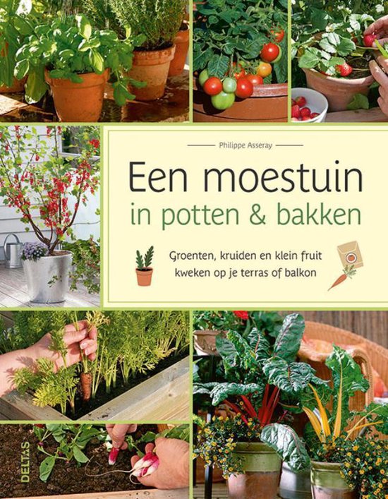 Een moestuin in potten & bakken