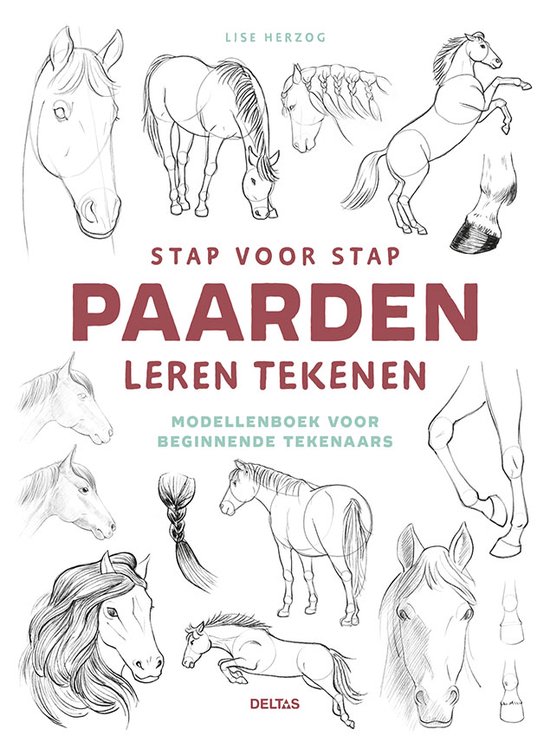 Stap voor stap paarden leren tekenen