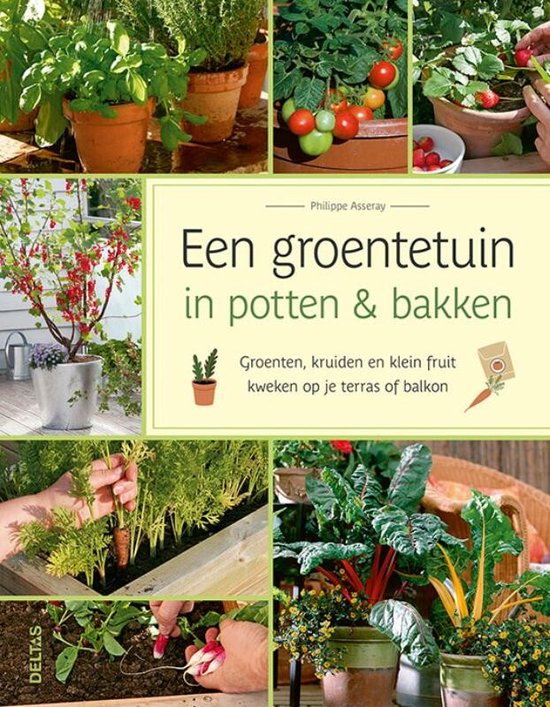 Een groentetuin in pottten & bakken