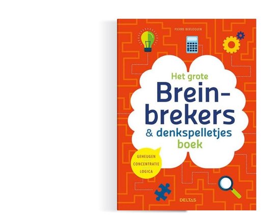 Het grote breinbrekers en denkspelletjes boek