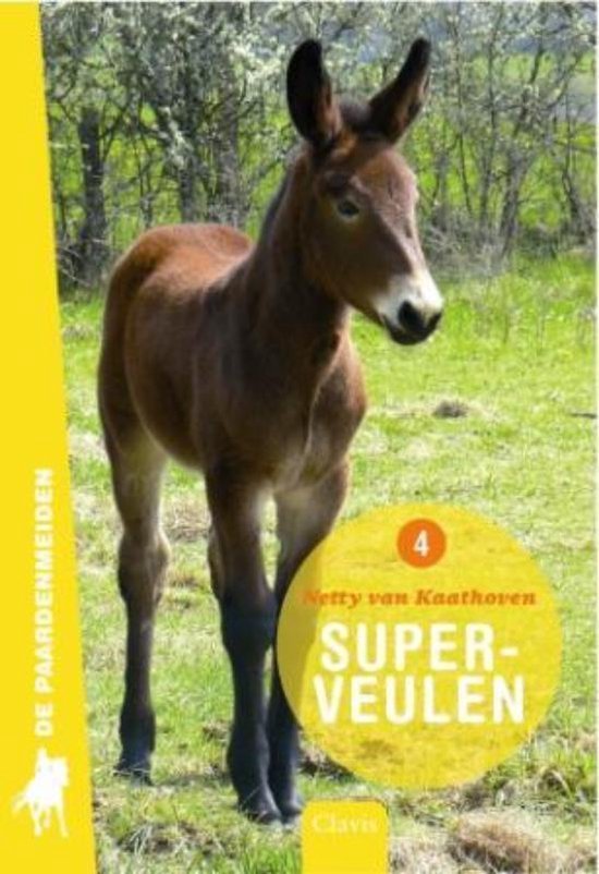 De paardenmeiden 4 -   Superveulen