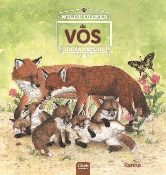 Wilde dieren in de natuur  -   De vos