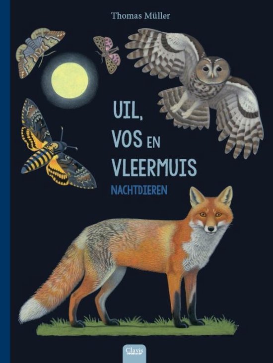 Uil, vos en vleermuis