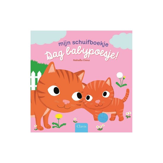 Mijn schuifboekje - Dag babypoesje!