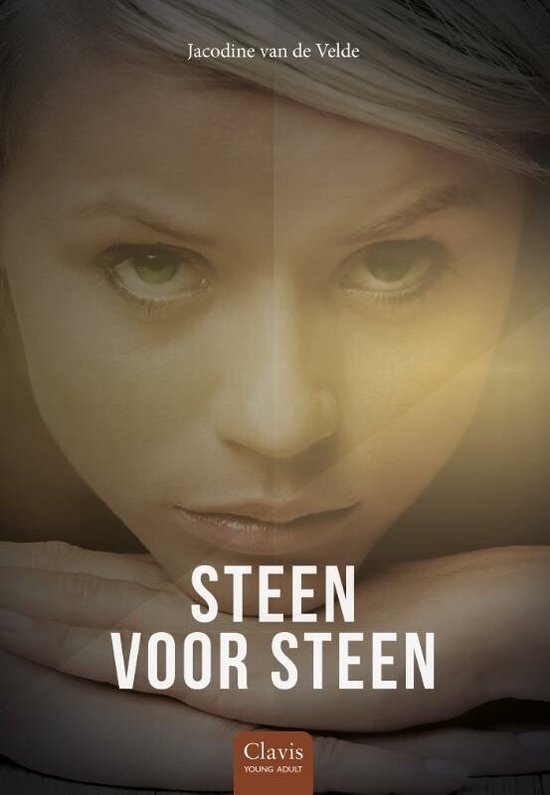 Steen voor steen