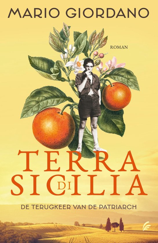 Terra di Sicilia