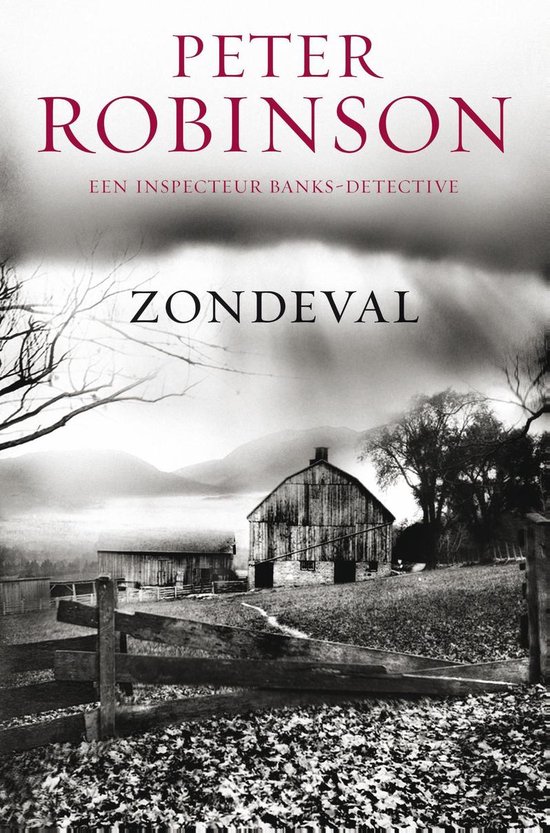 DCI Banks 4 - Zondeval