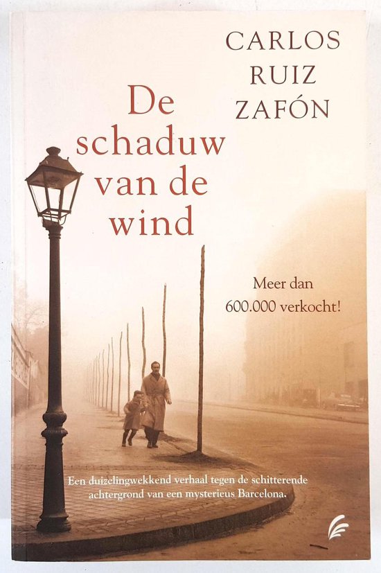 Het Kerkhof der Vergeten Boeken 1 - De schaduw van de wind