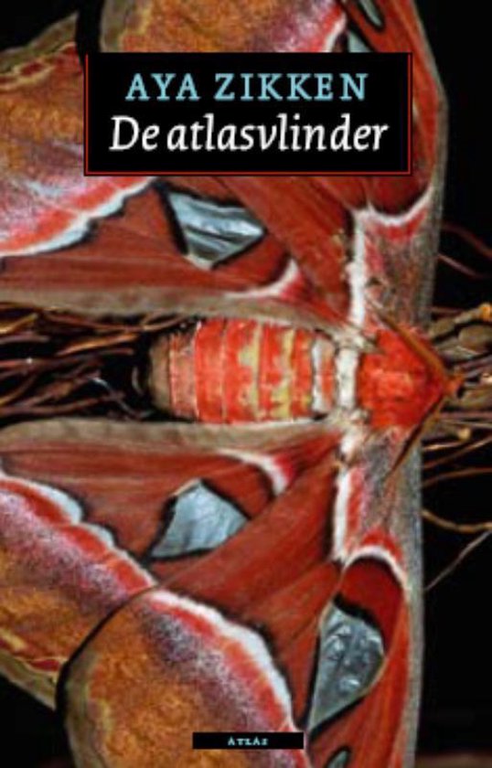 De Atlasvlinder