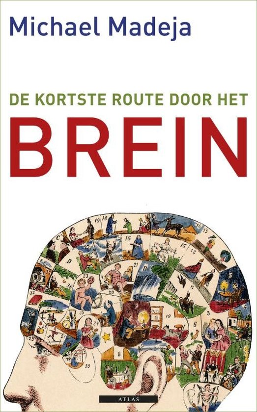 De kortste route door het brein