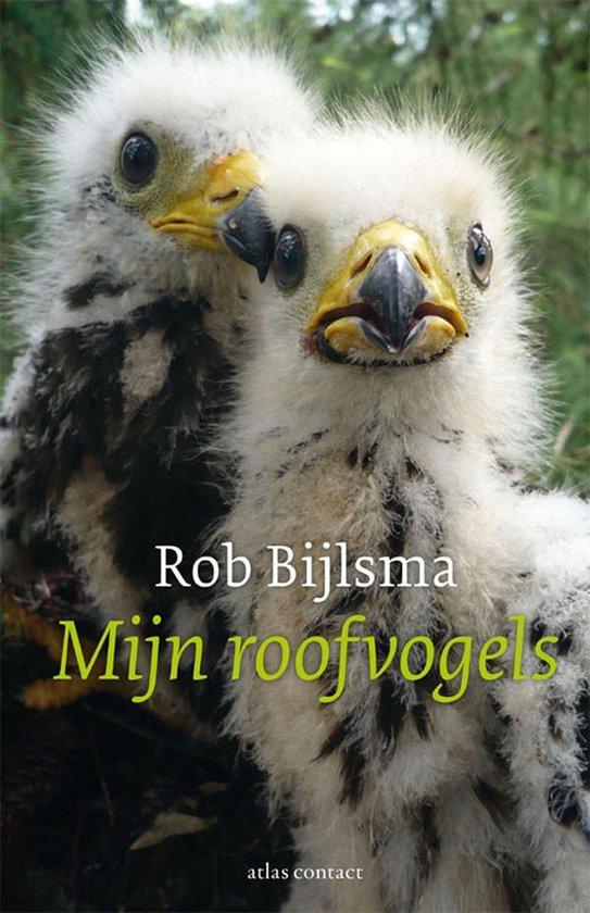 De vogelserie - Mijn roofvogels