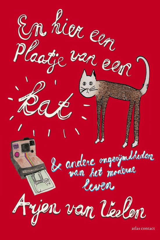 En hier een plaatje van een kat