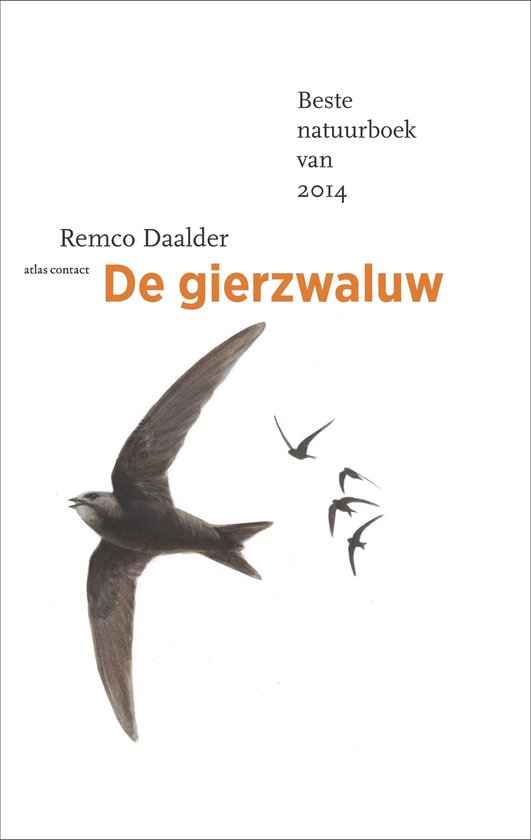 De vogelserie 2 - De gierzwaluw