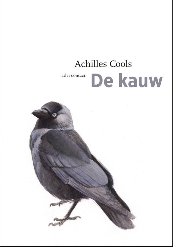 De vogelserie 4 - De kauw