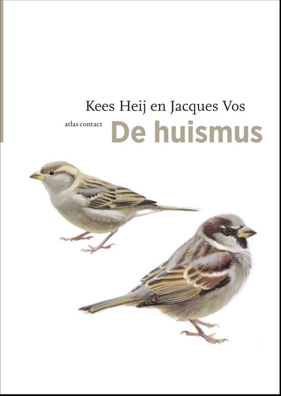 De vogelserie 8 - De huismus