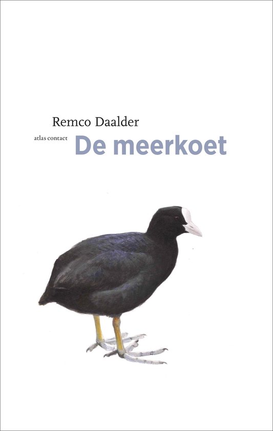 De vogelserie 11 -   De meerkoet