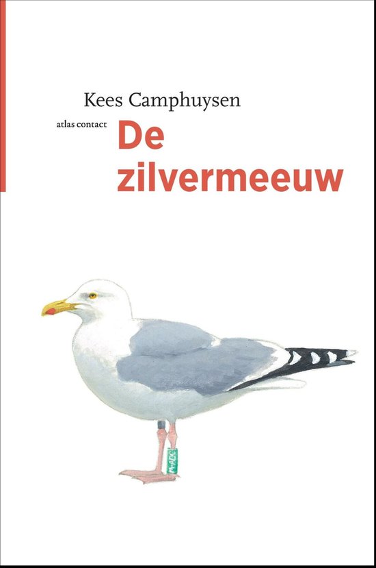 De vogelserie 12 - De zilvermeeuw