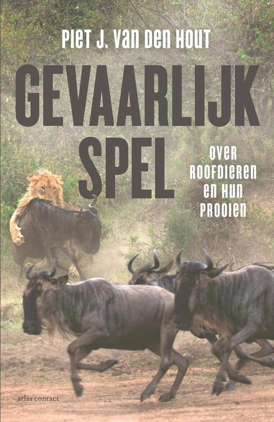 Gevaarlijk spel