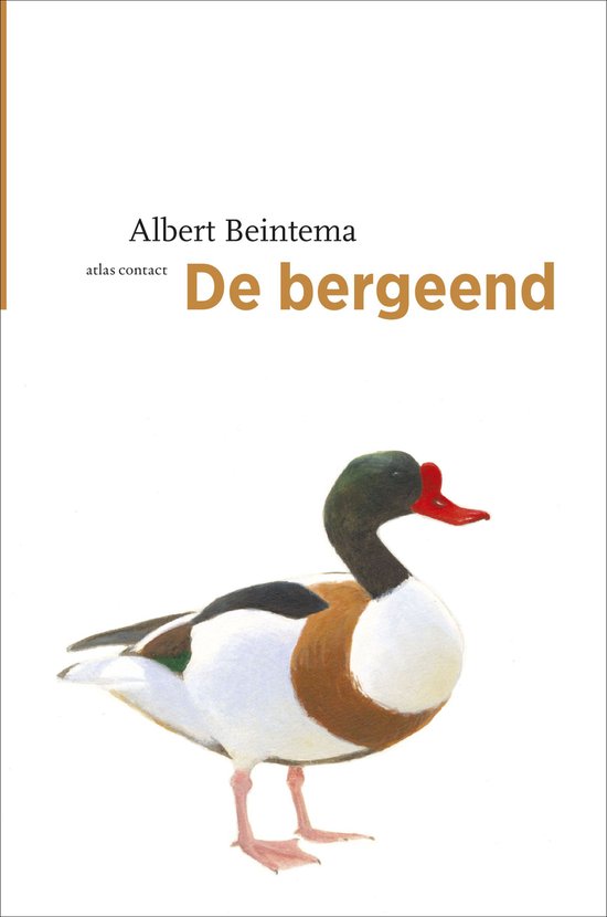 De vogelserie 16 -   De bergeend