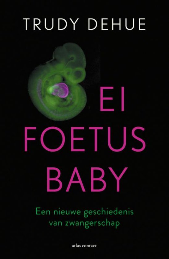 Ei, foetus, baby