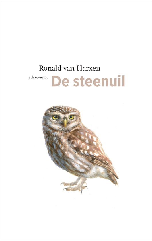 De Vogelserie 23 -   De steenuil