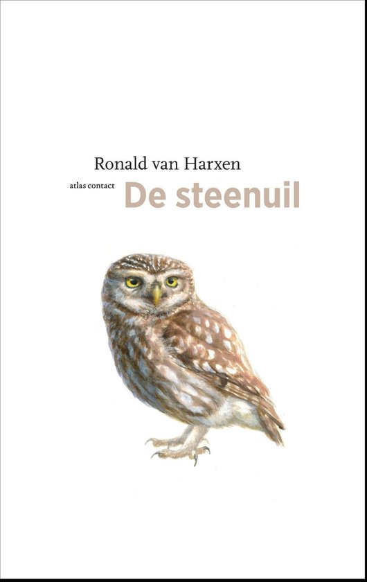 De Vogelserie 23 - De steenuil