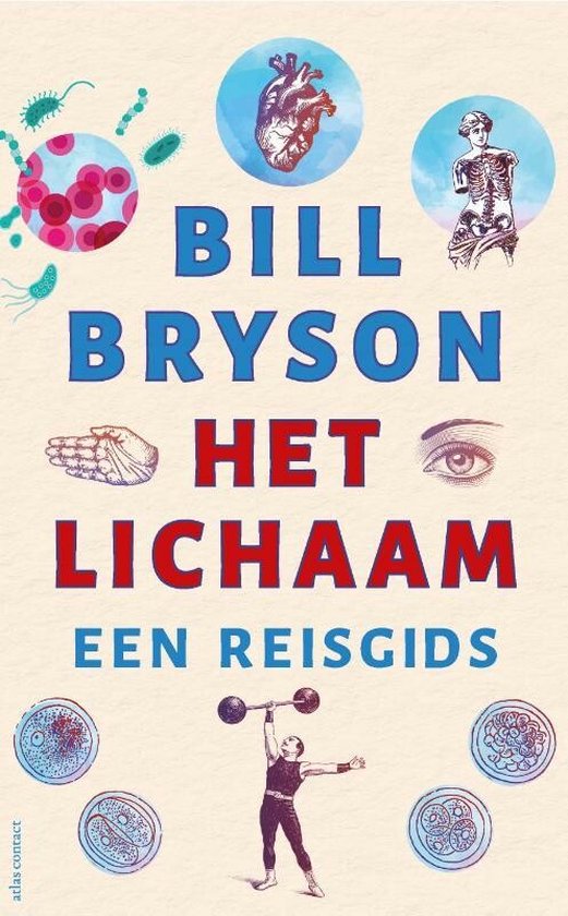 Het lichaam