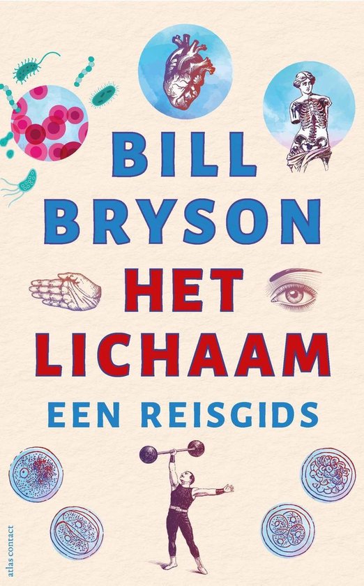 Het Lichaam