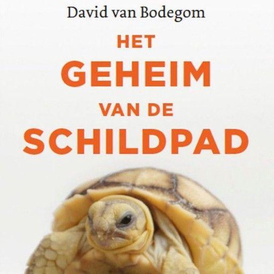 Het geheim van de schildpad