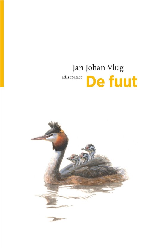 De Vogelserie 20 -   De fuut