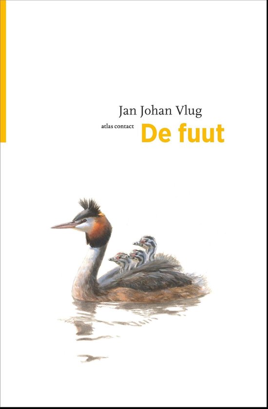 De Vogelserie 20 - De fuut