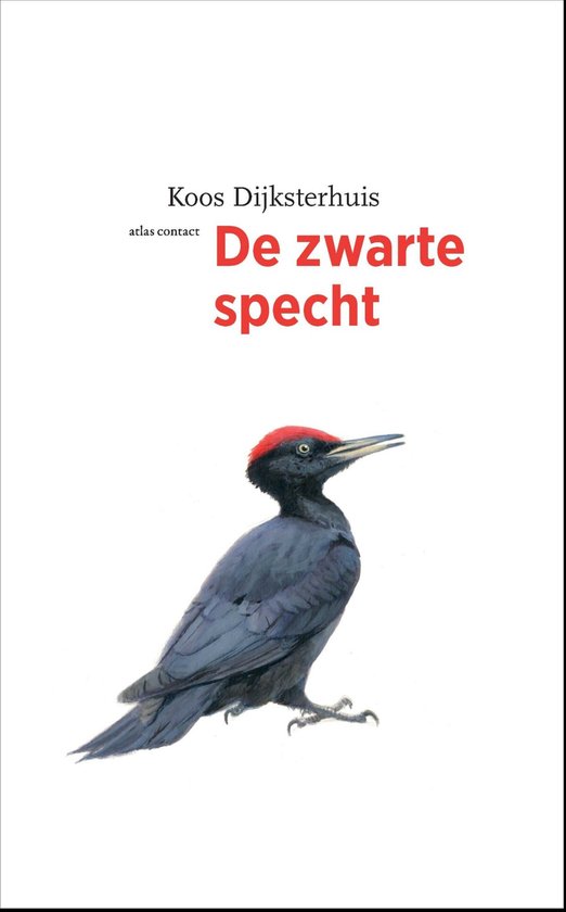 De Vogelserie 18 - De zwarte specht