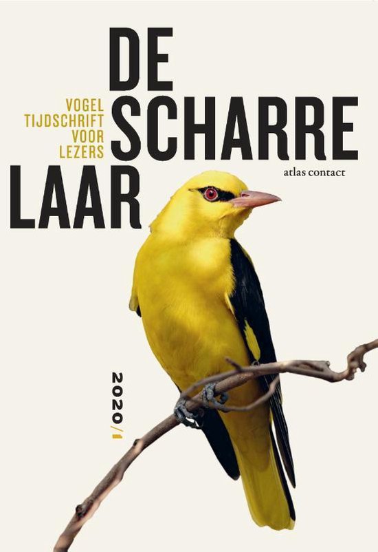 De Scharrelaar 3 - De scharrelaar 2020/1