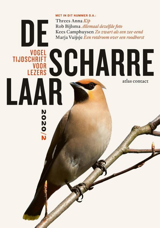 De Scharrelaar 4 - De scharrelaar - 2020/2