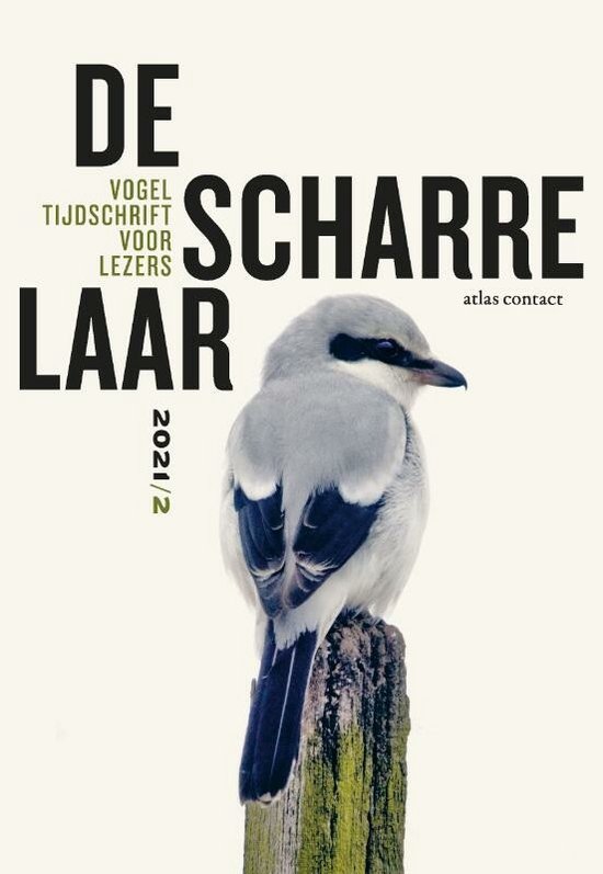 De Scharrelaar 6 - De scharrelaar 2021/2