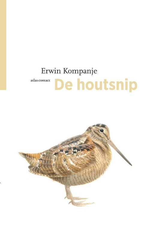 De Vogelserie 24 - De houtsnip