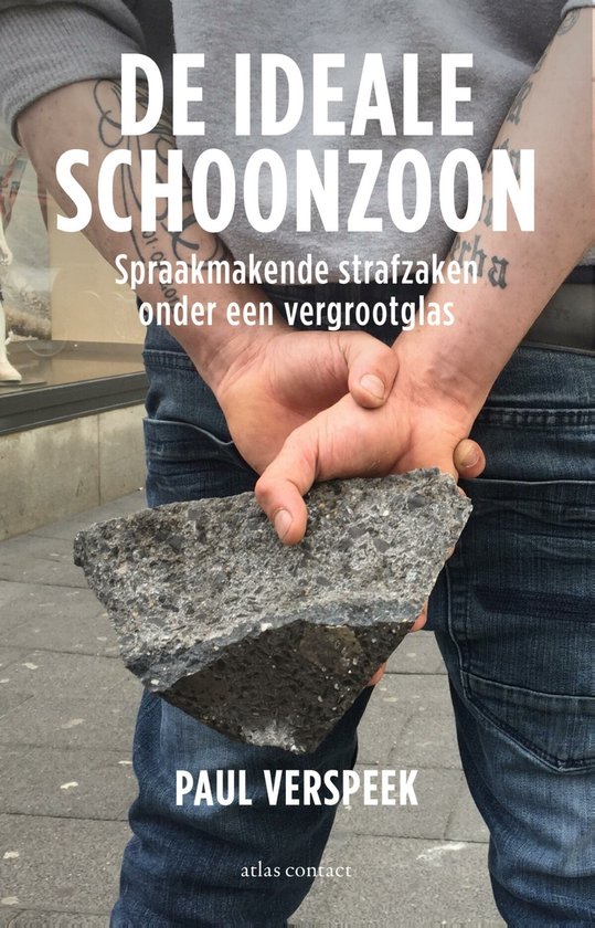 De ideale schoonzoon