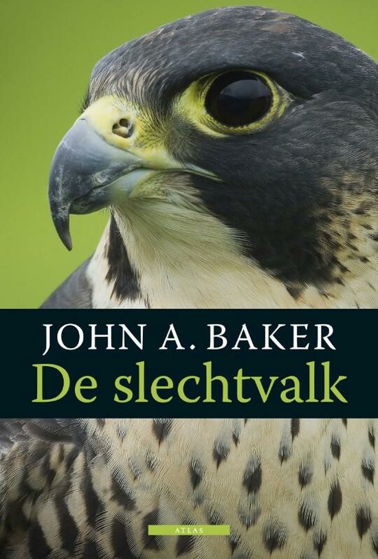 Vogelboeken - De slechtvalk