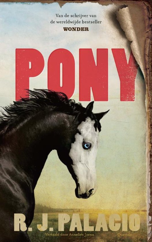 Pony