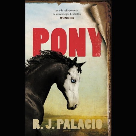 Pony