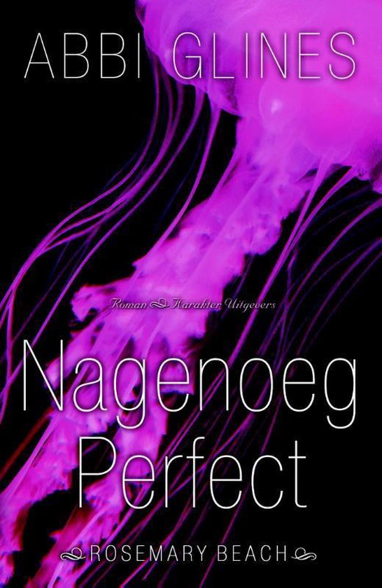 Rosemary Beach  -   Nagenoeg perfect