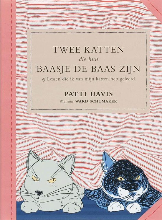 Twee Katten Die Hun Baasje De Baas Zijn