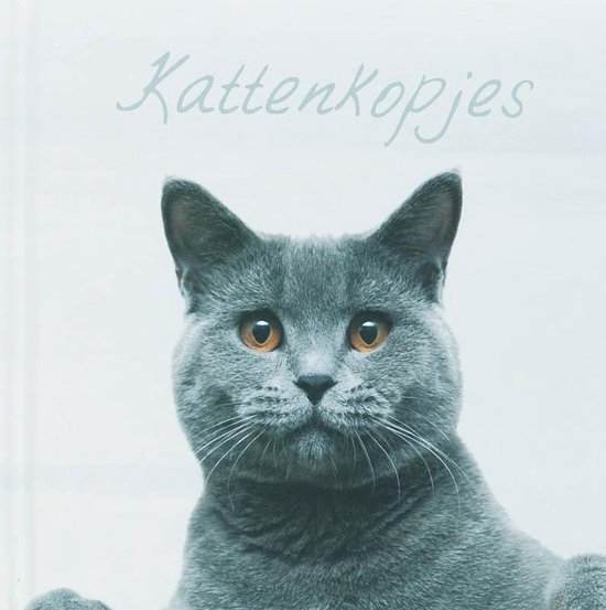 Kattenkopjes