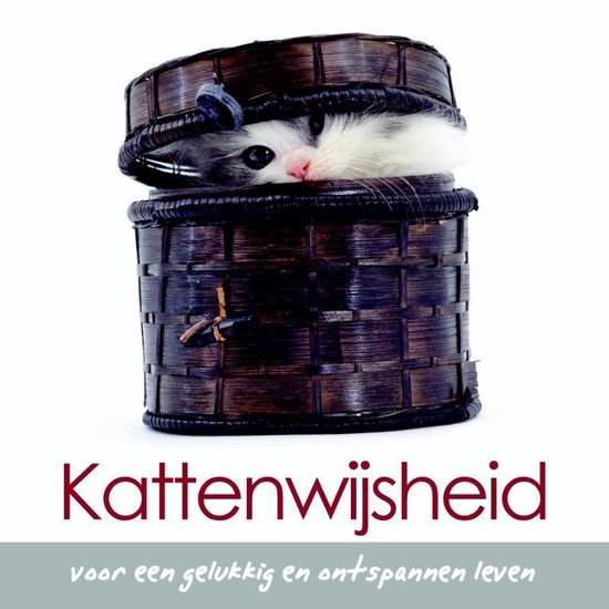 Kattenwijsheid